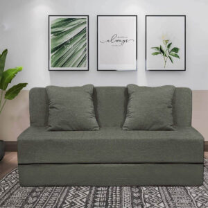 green sofa cum bed (3)
